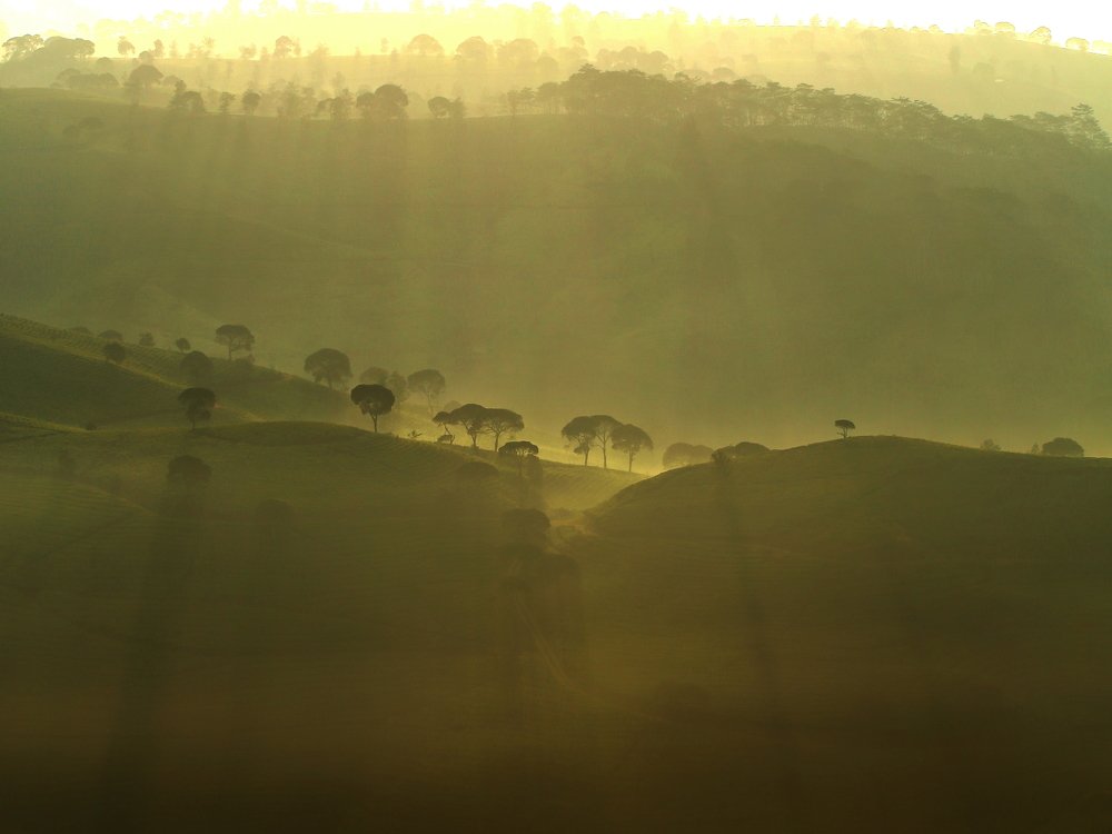 Photograph by Baraya Rocky