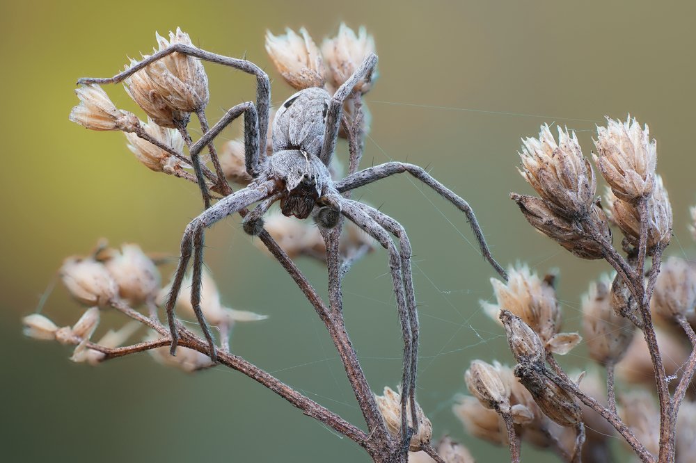 Photograph by Кузнецов Дмитрий