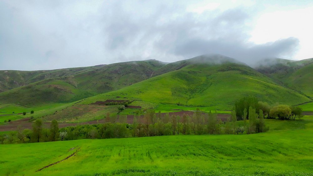 Фотография автора Alipour mohammad