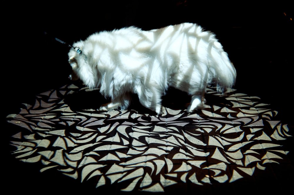 Photograph by Дмитрий Криволуцких