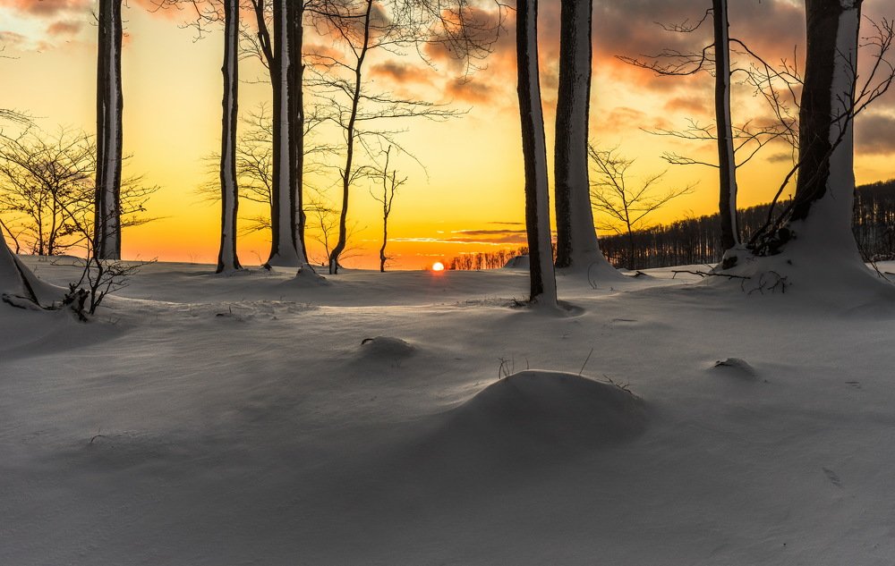 Photograph by Radoslav Garec