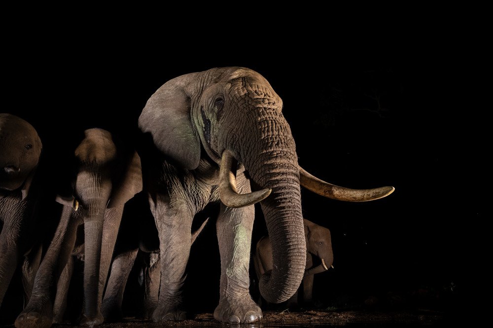 In the land of giants