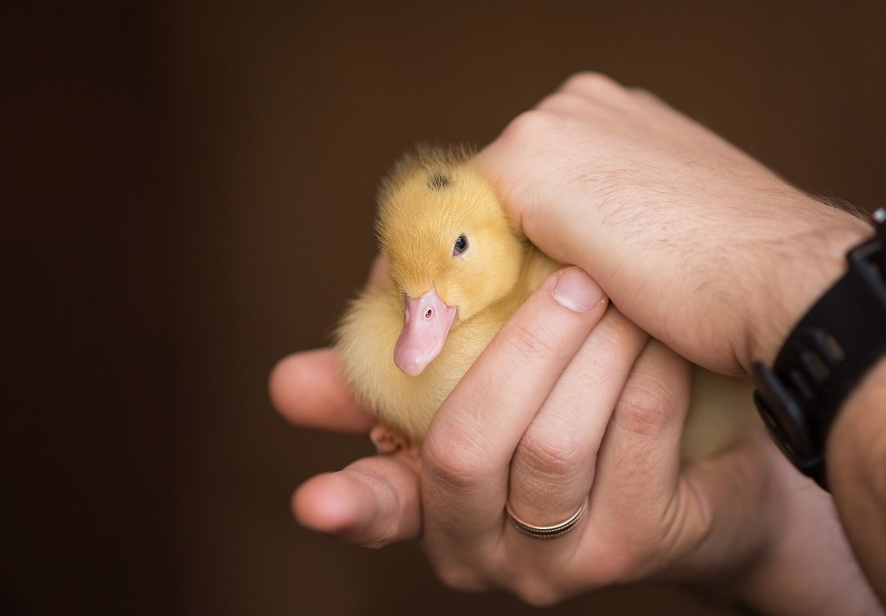 Photograph by Светлана Викторова