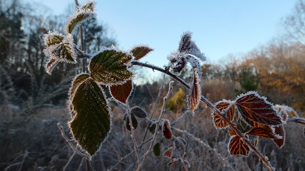 Первый иней.