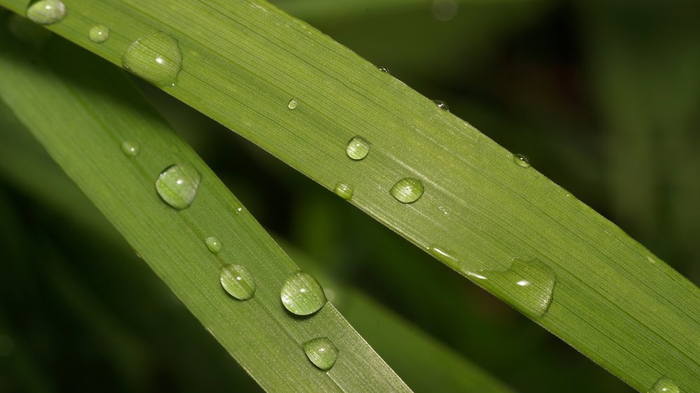 Photograph by Андрей Шартов