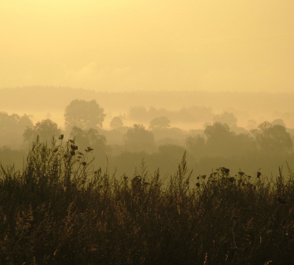 Photo #3615836