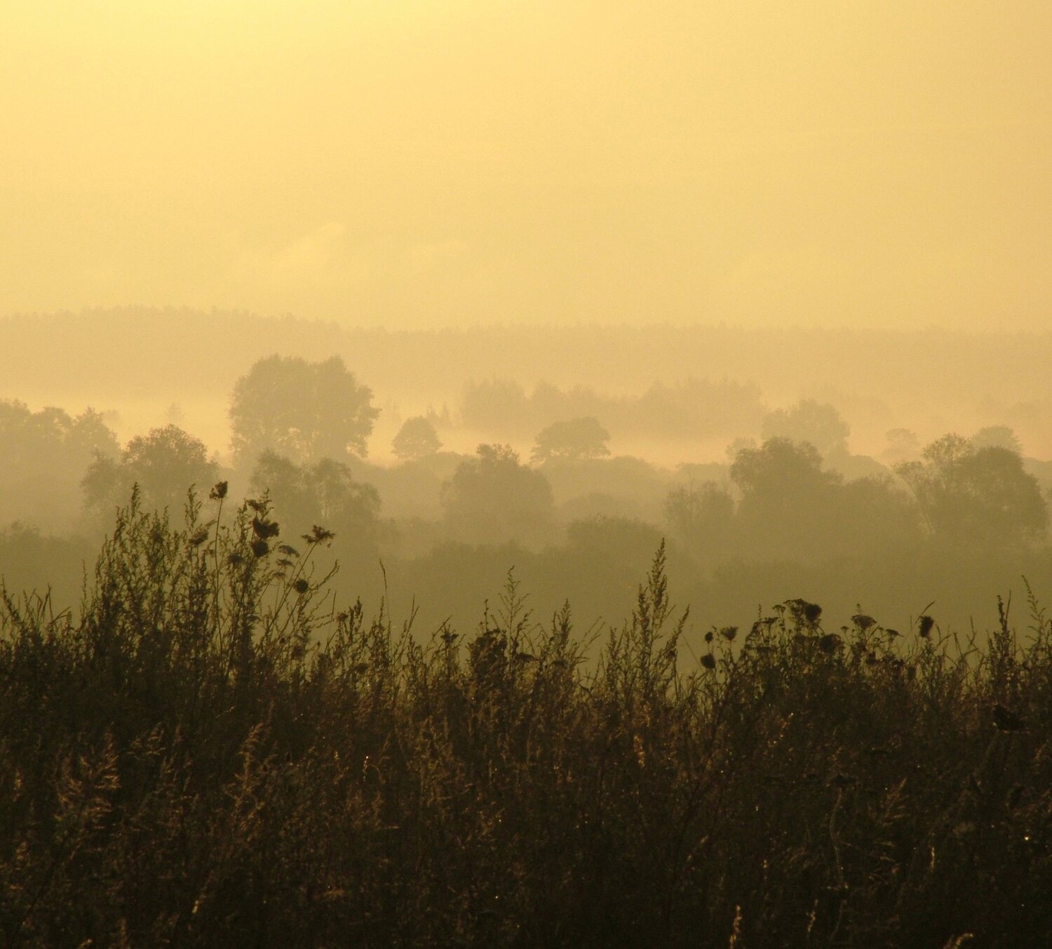 Photo #3615836