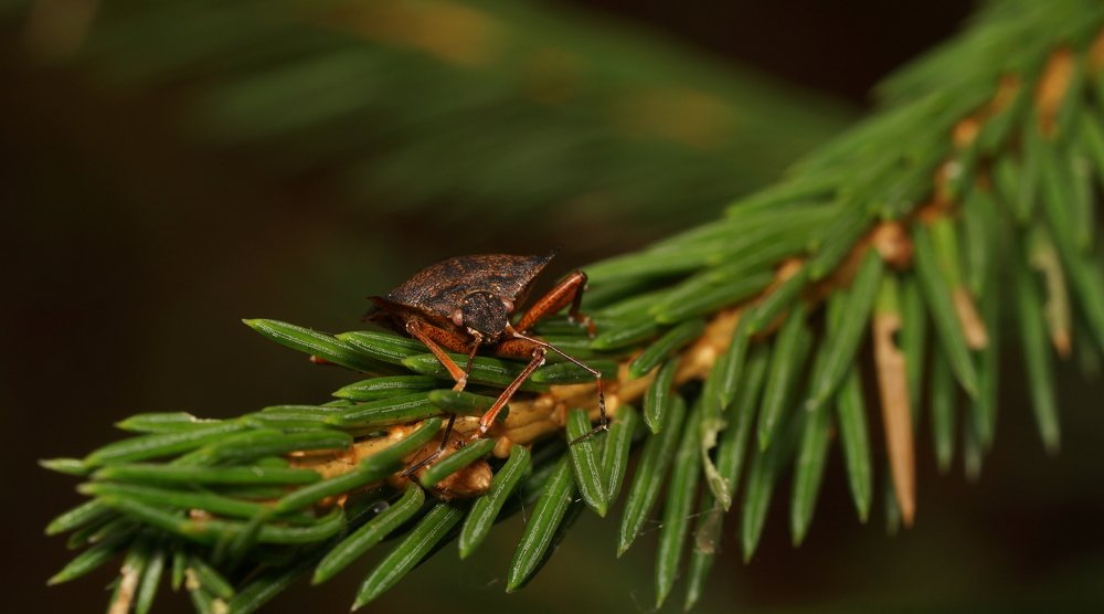 Photograph by Андрей Шартов