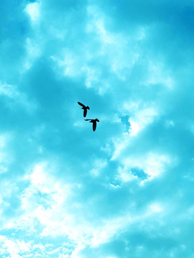 Photograph by Saeid Alinezhad