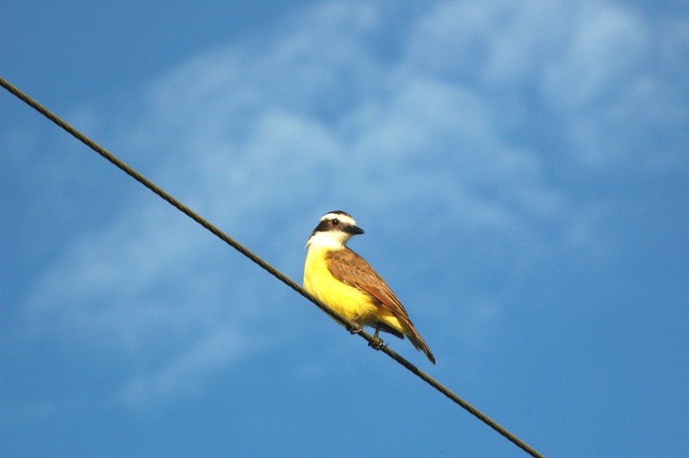 Photograph by Veronica Belli