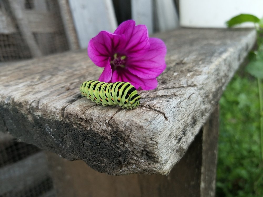 Фотография автора Камиль Хайрутдинов