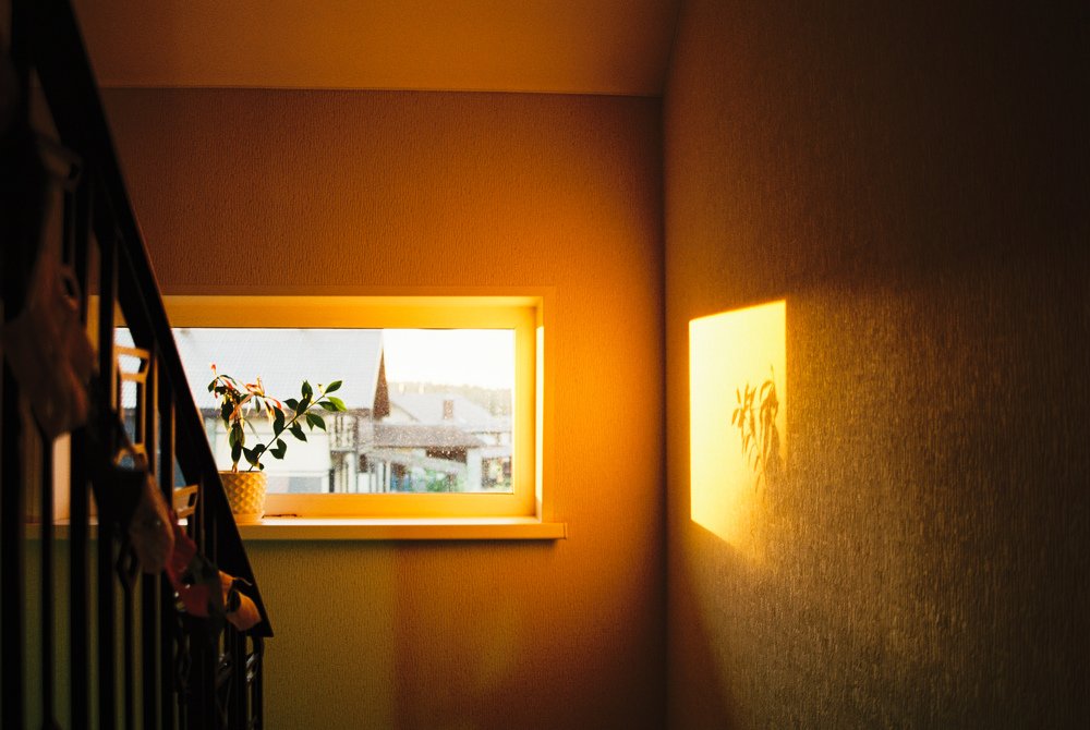 Photograph by Дмитрий Криволуцких