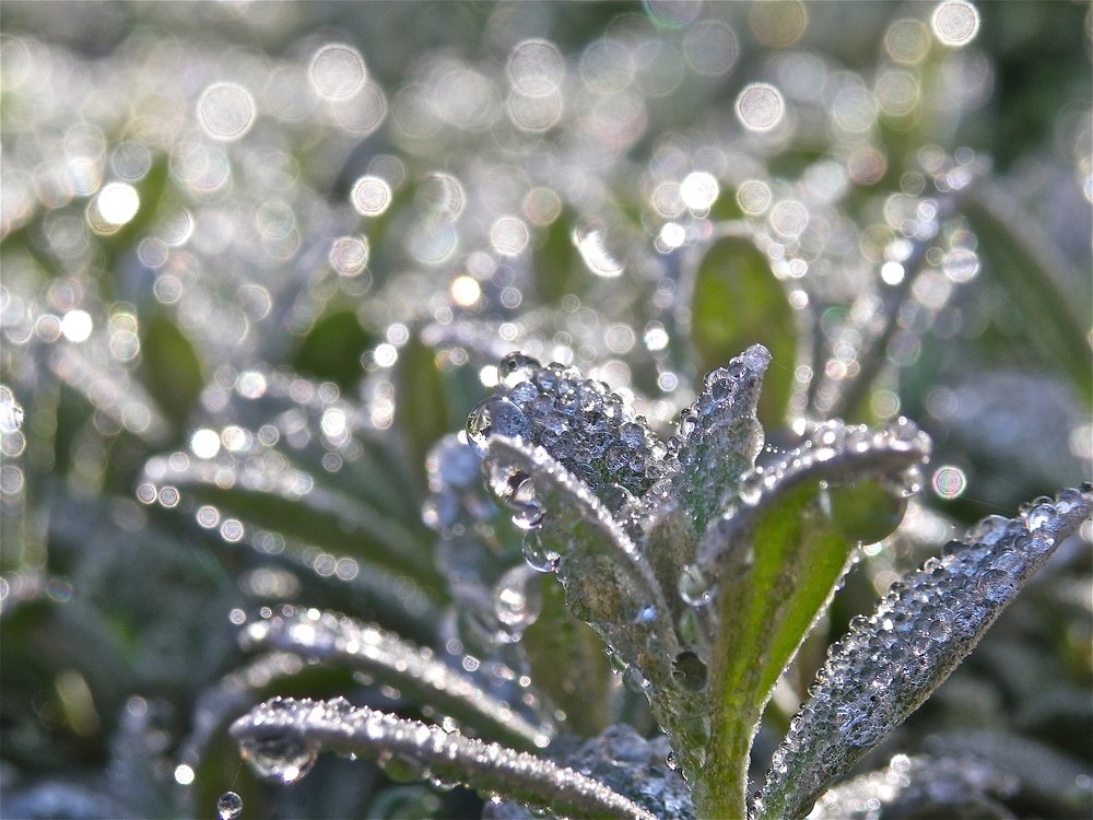 Photograph by Nataliya Mochernyuk