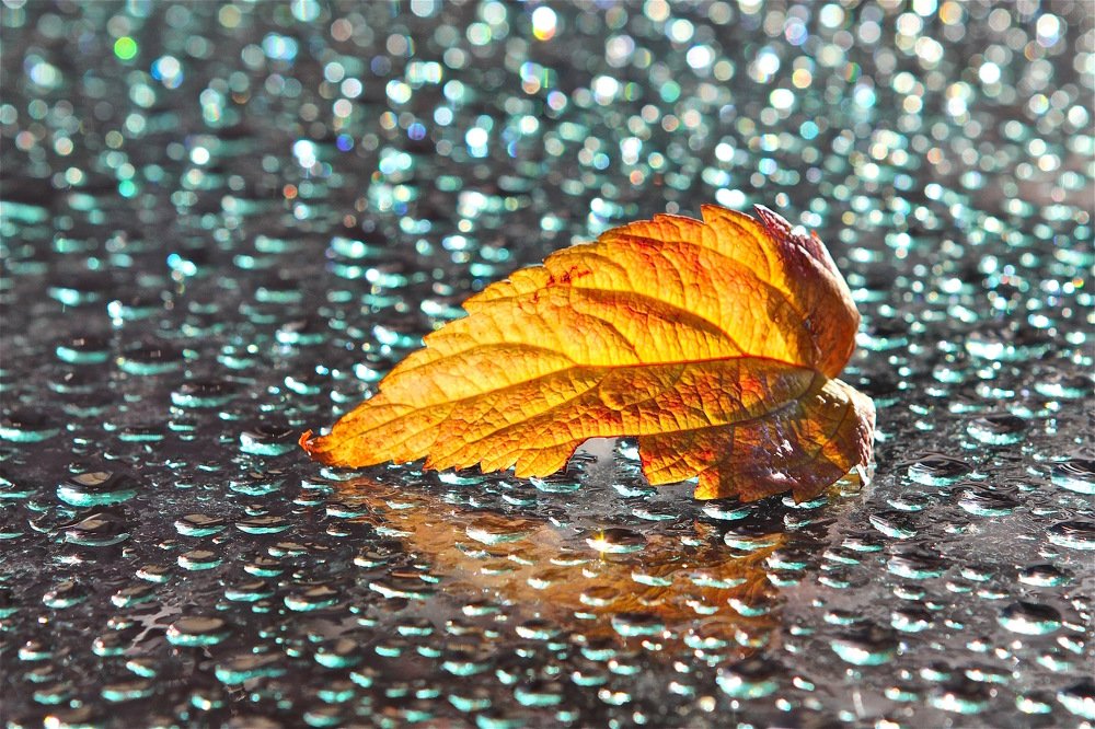 Photograph by Nataliya Mochernyuk