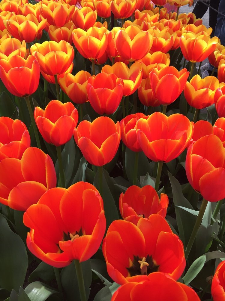 Photograph by Евгений Савулькин