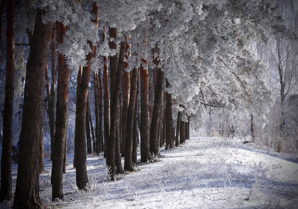 Photograph by Nataliya Mochernyuk