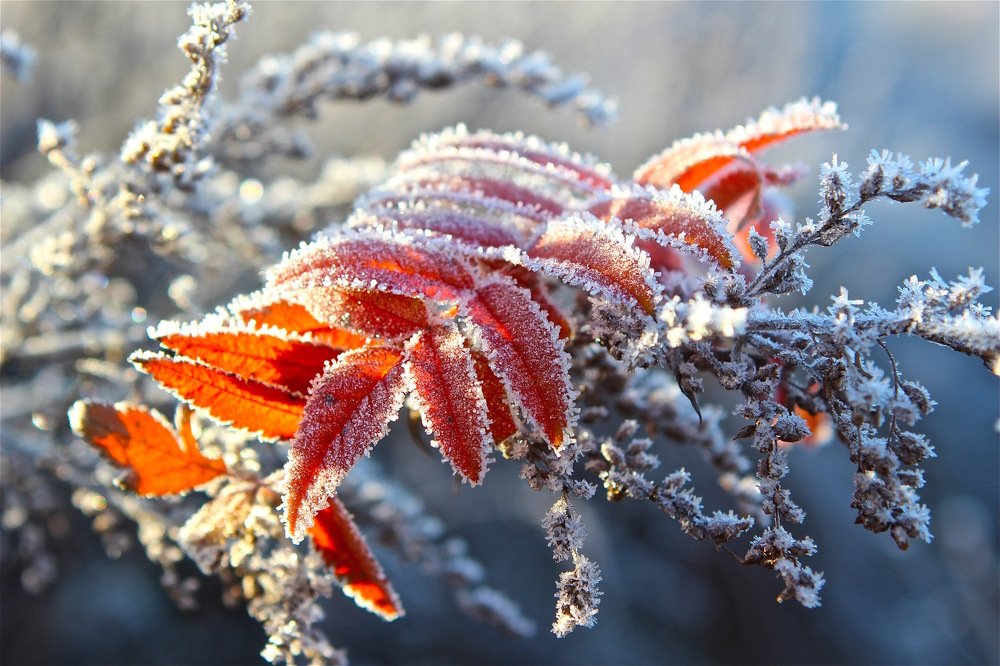 Photograph by Nataliya Mochernyuk