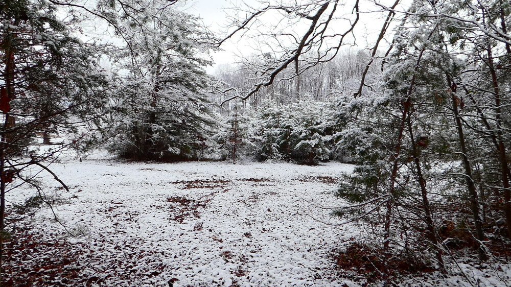 Первый снег.