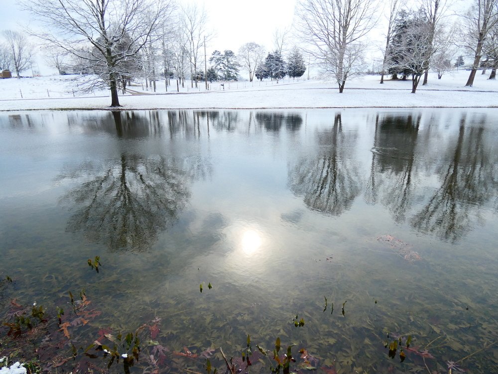 Зимнее утро.