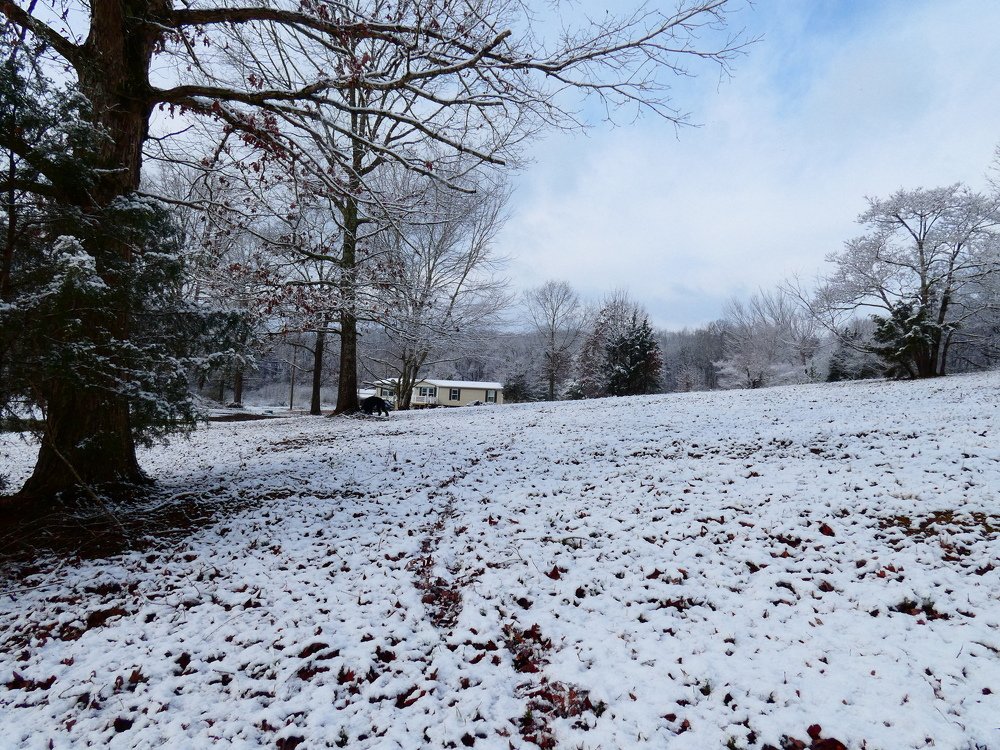 Тропинка к дому.