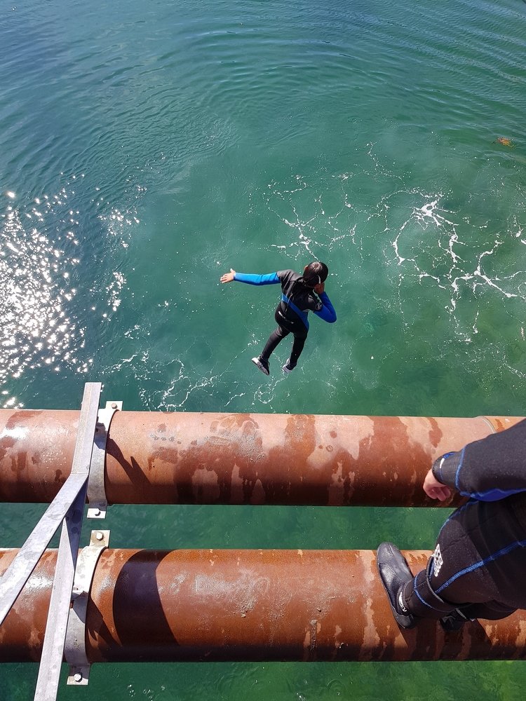 Jumping from the bridge