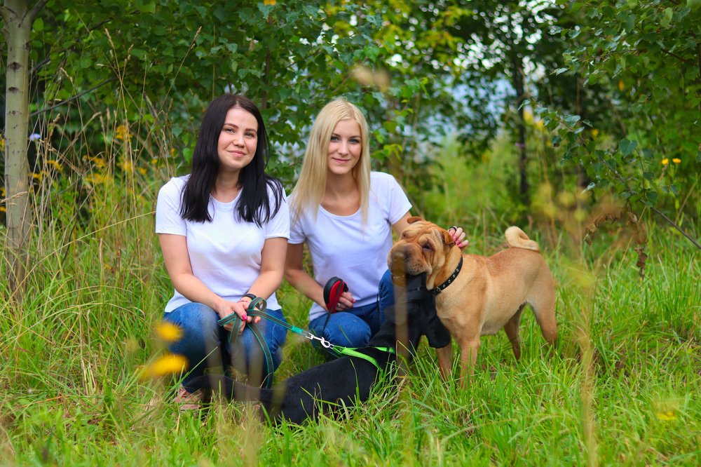 Зеленое лето.