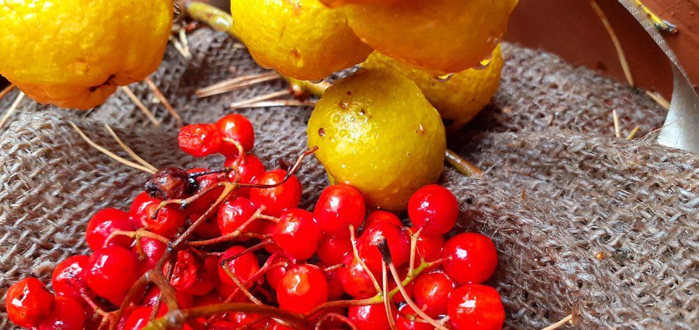 Photograph by Любовь Макарова