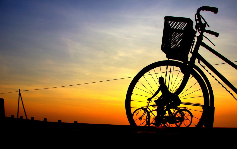 Photograph by Tilaxan Tharmapalan