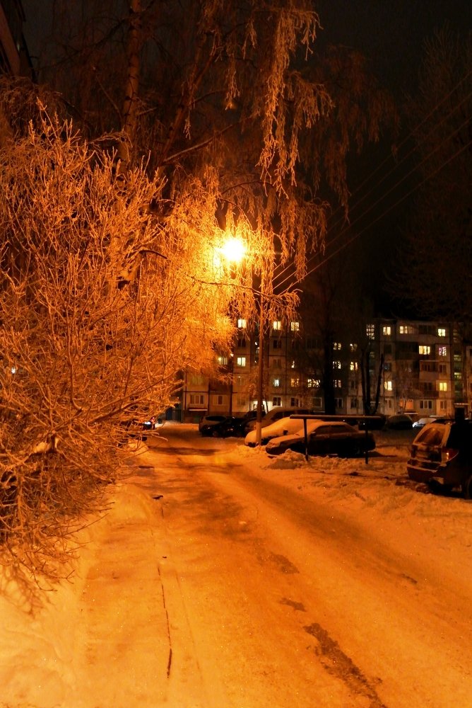 Январь. Фонарь.