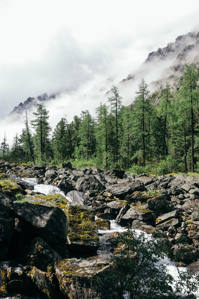 Фотография автора Регина Кириллова