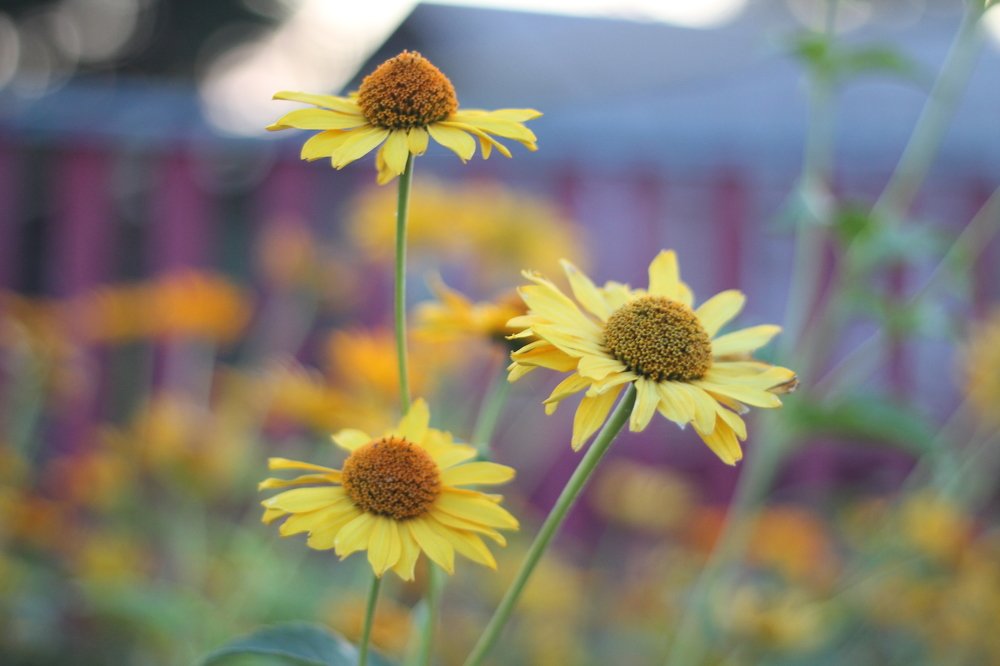 Photograph by Ольга Ермакова