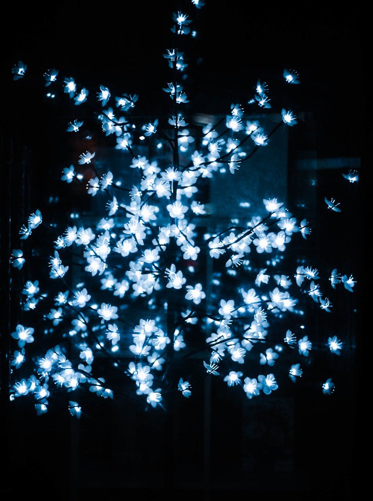 Photograph by Ольга Ермакова