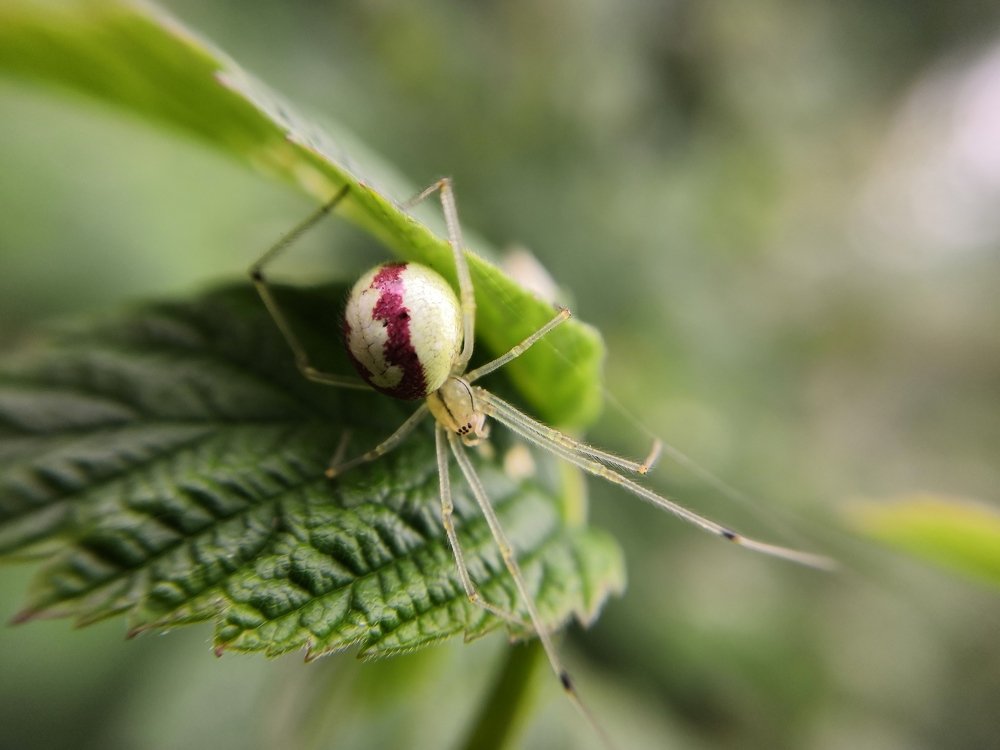 Photograph by Екатерина Аксёнова