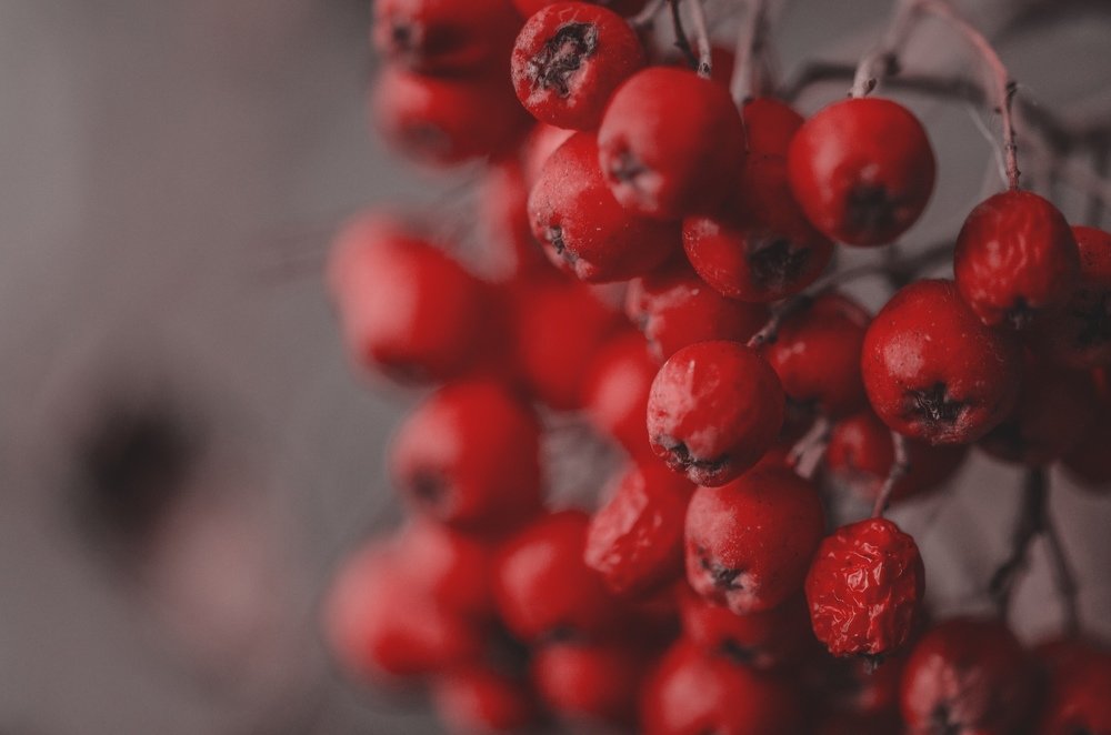 Photograph by Дмитрий Беликов