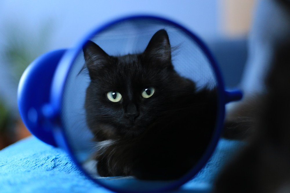 Photograph by Алия Айткалиева