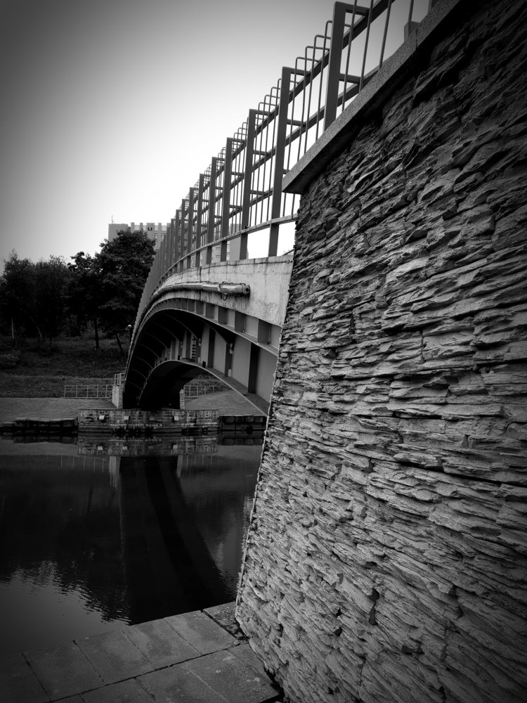 Фотография автора Алина Петрухина