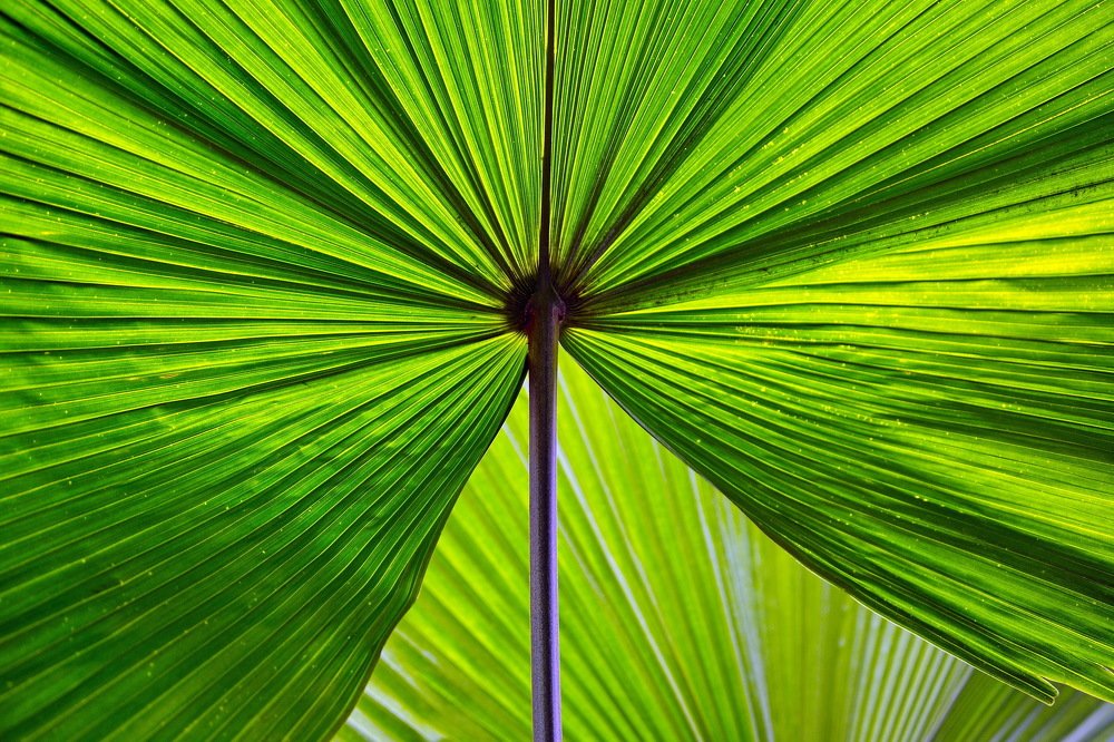 Photograph by Александр Столяров