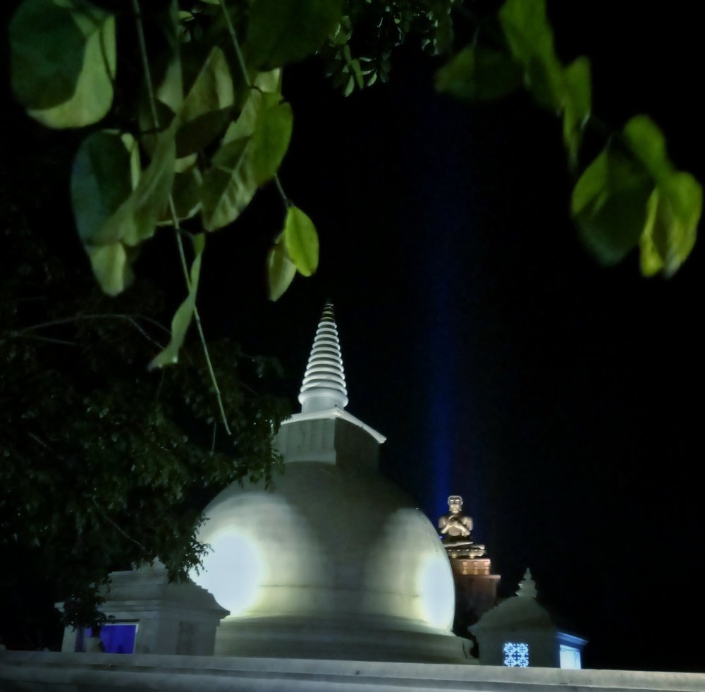 Photograph by Tharindu Dilshan