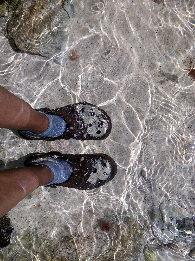 Photograph by Darlene