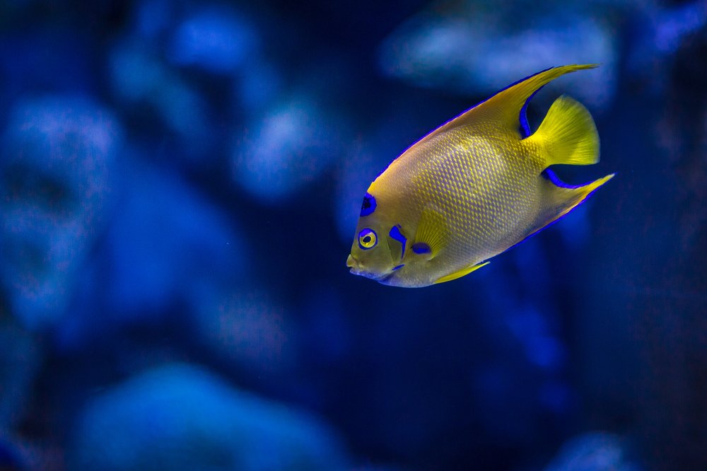 Photograph by Роман Сидоренко