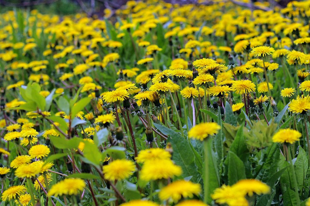 Photograph by Константин Дядюн