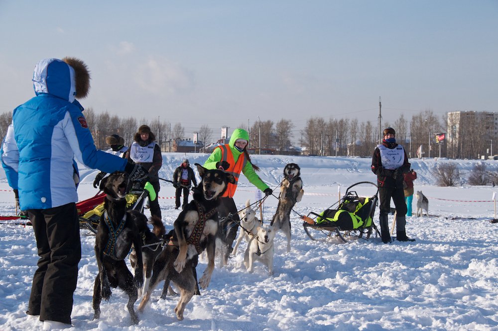 Photograph by Алёна Гильмуллина