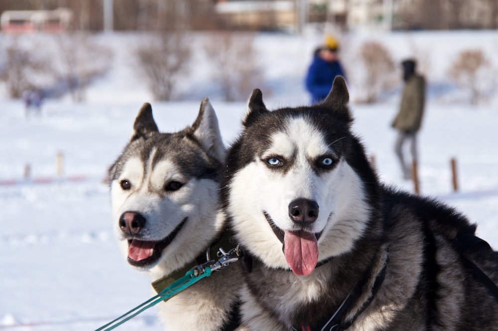 Photograph by Алёна Гильмуллина