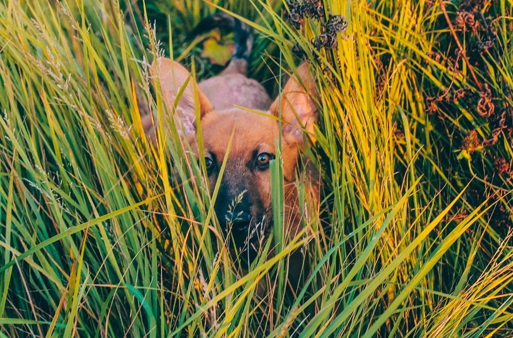 Photograph by Анастасия Савкова