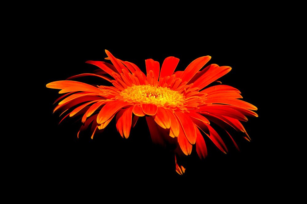 Фотография автора Nikolay Tatarchuk