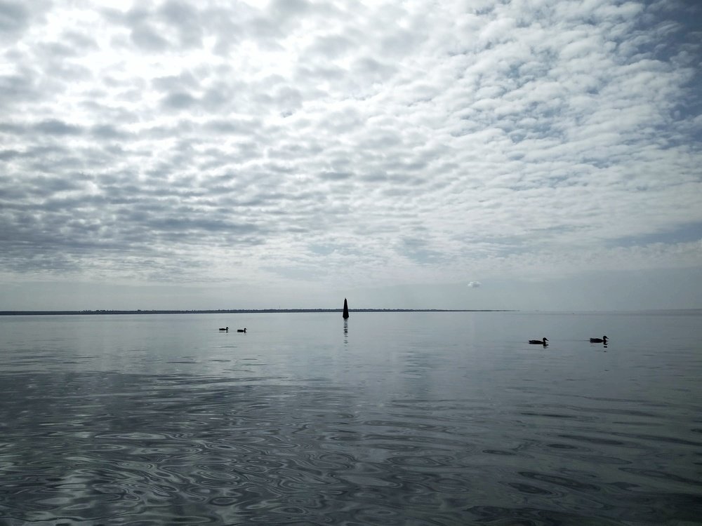 Photograph by Людмила М