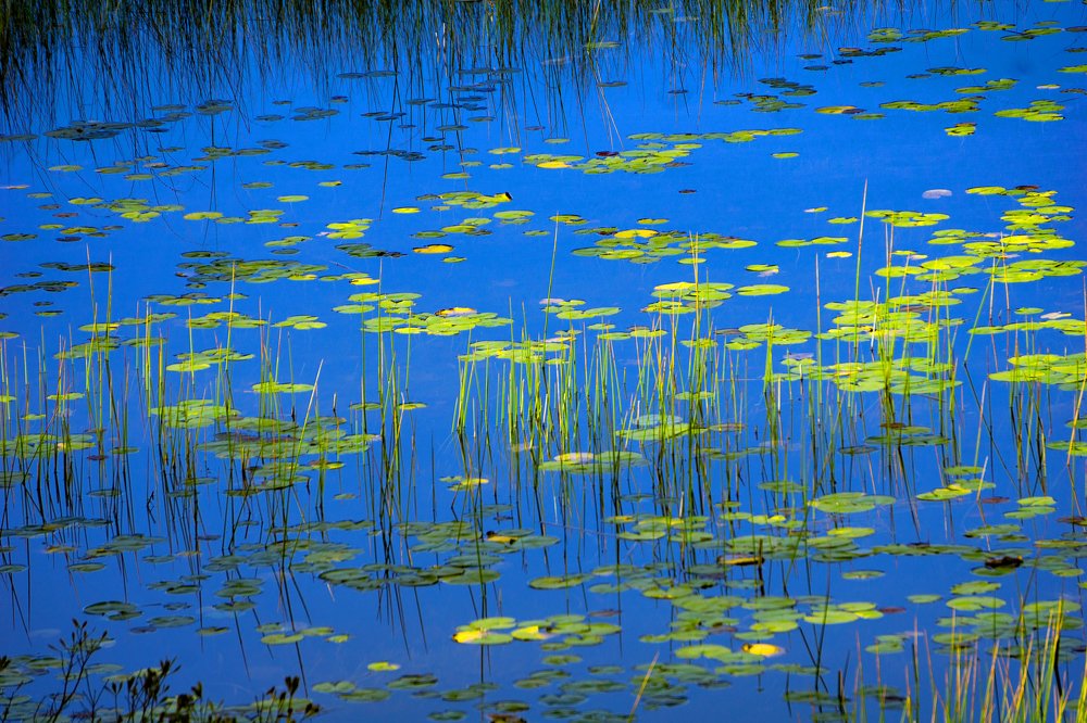 Photograph by Silvia Marcos