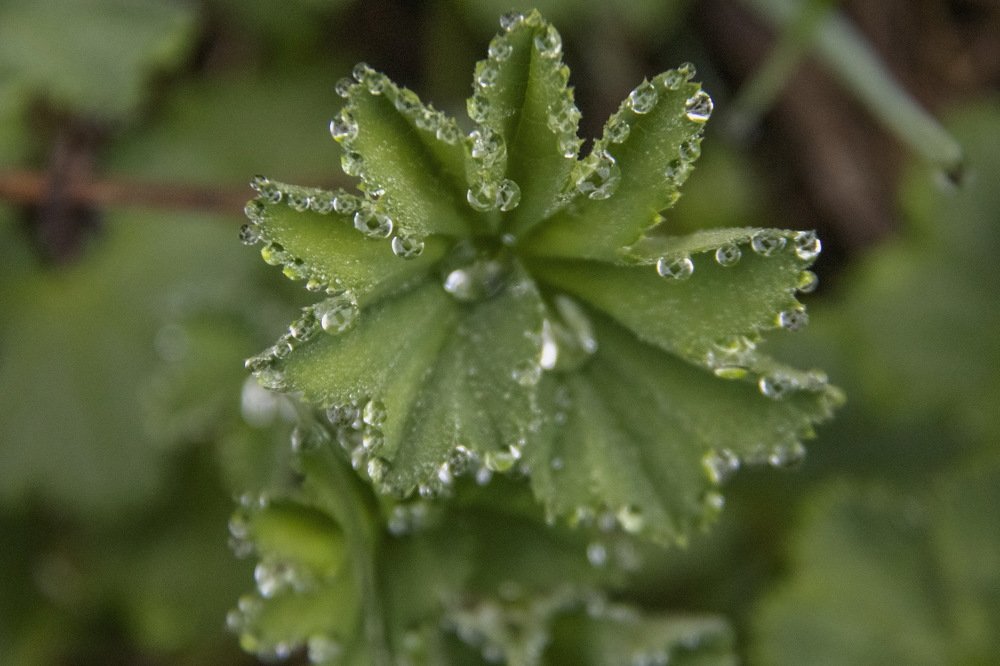 Photograph by миша