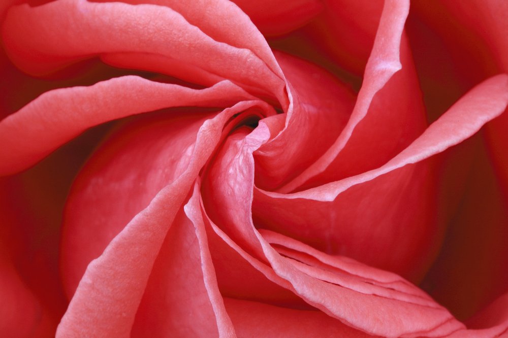 Photograph by Samantha Adams