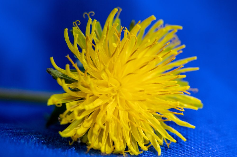 Photograph by Evgeniia Iakimenko